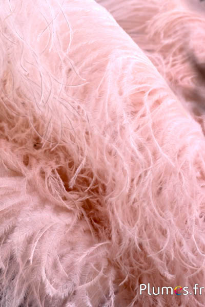 Autruche premium - 50-60 cm - beige rosé 